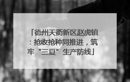 德州天衢新区赵虎镇：抢收抢种同推进，筑牢“三夏”生产防线
