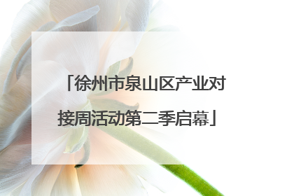 徐州市泉山区产业对接周活动第二季启幕