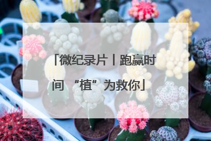 微纪录片丨跑赢时间 “植”为救你