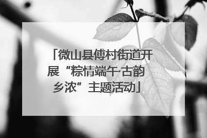 微山县傅村街道开展“粽情端午·古韵乡浓”主题活动