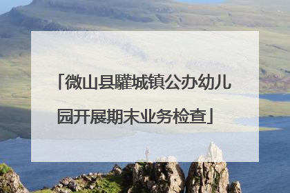 微山县驩城镇公办幼儿园开展期末业务检查