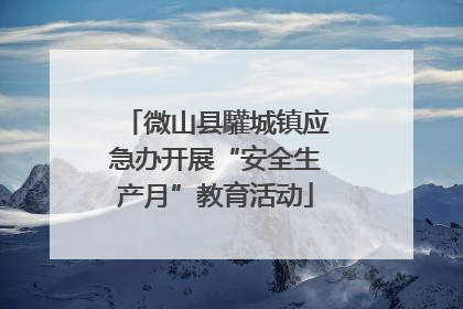 微山县驩城镇应急办开展“安全生产月”教育活动