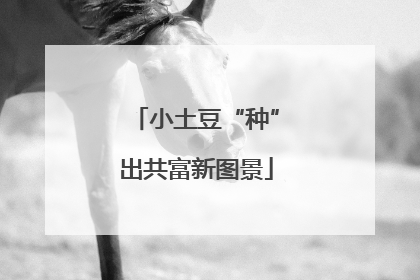小土豆“种”出共富新图景