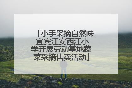 小手采摘自然味 宜宾江安西江小学开展劳动基地蔬菜采摘售卖活动