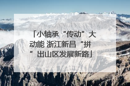 小轴承“传动”大动能 浙江新昌“拼”出山区发展新路