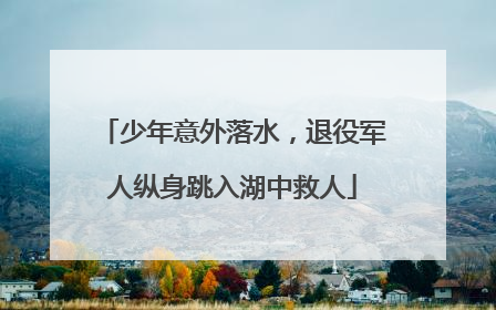 少年意外落水，退役军人纵身跳入湖中救人