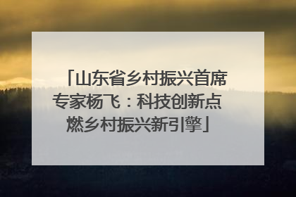 山东省乡村振兴首席专家杨飞：科技创新点燃乡村振兴新引擎