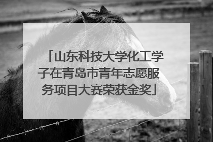 山东科技大学化工学子在青岛市青年志愿服务项目大赛荣获金奖