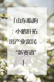 山东临朐：小鹅肝拓出产业富民“新赛道”