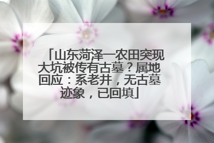 山东菏泽一农田突现大坑被传有古墓？属地回应：系老井，无古墓迹象，已回填