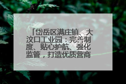岱岳区满庄镇、大汶口工业园：完善制度、贴心护航、强化监管，打造优质营商“强磁场”