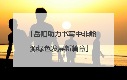 岳阳助力书写中非能源绿色发展新篇章