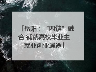 岳阳：“四链”融合 铺就高校毕业生就业创业通途