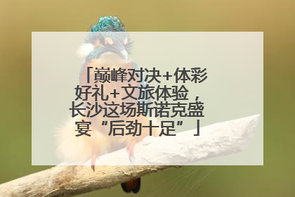 巅峰对决+体彩好礼+文旅体验，长沙这场斯诺克盛宴“后劲十足”