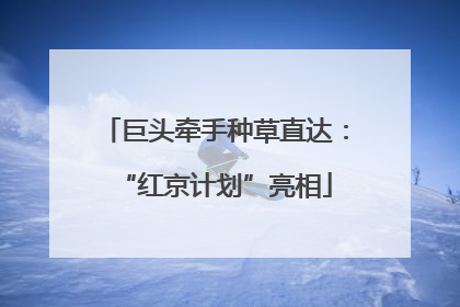 巨头牵手种草直达：“红京计划”亮相
