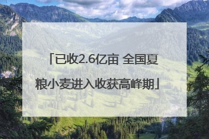 已收2.6亿亩 全国夏粮小麦进入收获高峰期