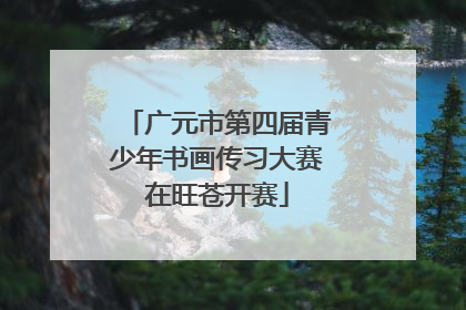广元市第四届青少年书画传习大赛在旺苍开赛