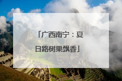 广西南宁：夏日路树果飘香