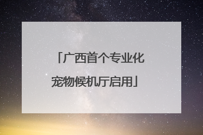广西首个专业化宠物候机厅启用
