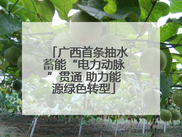 广西首条抽水蓄能“电力动脉”贯通 助力能源绿色转型