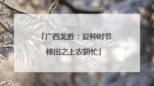 广西龙胜：夏种时节 梯田之上农耕忙