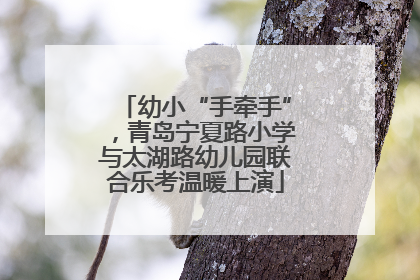 幼小“手牵手”，青岛宁夏路小学与太湖路幼儿园联合乐考温暖上演