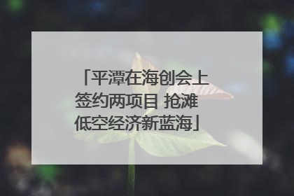 平潭在海创会上签约两项目 抢滩低空经济新蓝海