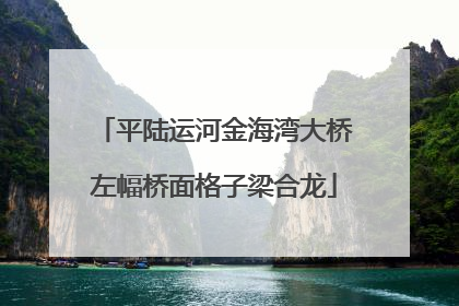 平陆运河金海湾大桥左幅桥面格子梁合龙
