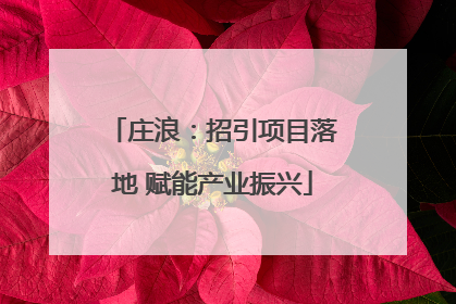 庄浪：招引项目落地 赋能产业振兴