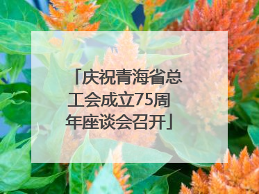 庆祝青海省总工会成立75周年座谈会召开