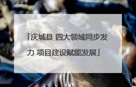 庆城县 四大领域同步发力 项目建设赋能发展