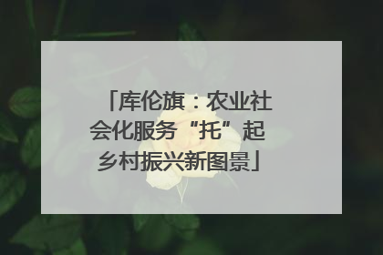 库伦旗：农业社会化服务“托”起乡村振兴新图景