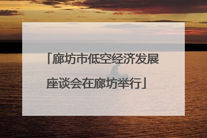 廊坊市低空经济发展座谈会在廊坊举行
