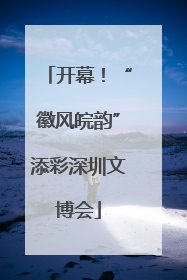 开幕！“徽风皖韵”添彩深圳文博会