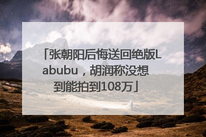 张朝阳后悔送回绝版Labubu，胡润称没想到能拍到108万