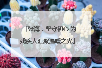 张海：坚守初心 为残疾人汇聚温暖之光