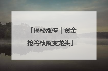 揭秘涨停｜资金抢筹核聚变龙头