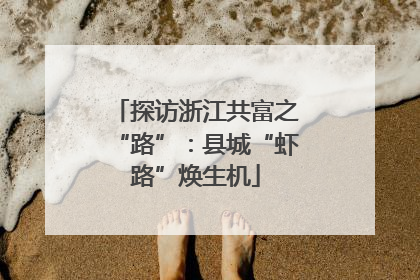探访浙江共富之“路”：县城“虾路”焕生机