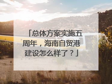 总体方案实施五周年，海南自贸港建设怎么样了？