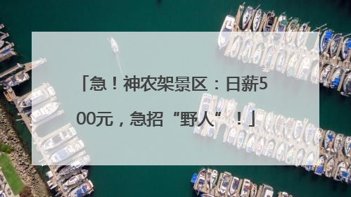 急！神农架景区：日薪500元，急招“野人”！