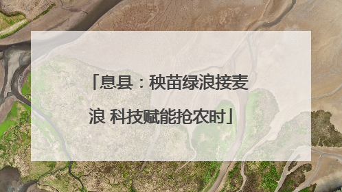 息县：秧苗绿浪接麦浪 科技赋能抢农时