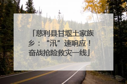 慈利县甘堰土家族乡：“汛”速响应！奋战抢险救灾一线