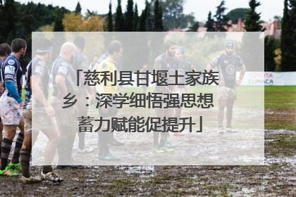 慈利县甘堰土家族乡：深学细悟强思想 蓄力赋能促提升