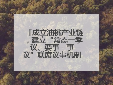 成立油桃产业链，建立“常态一季一议、要事一事一议”联席议事机制，山东省日照市莒县果庄镇——13个党小组“全周期”育果
