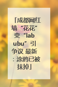 成都网红墙“花花”变“labubu”引争议 最新：涂鸦已被抹掉