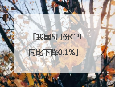 我国5月份CPI同比下降0.1%