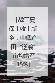 战三夏 保丰收丨新乡：中低产田“逆袭” 亩均增产15%