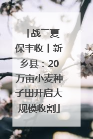 战三夏 保丰收丨新乡县：20万亩小麦种子田开启大规模收割