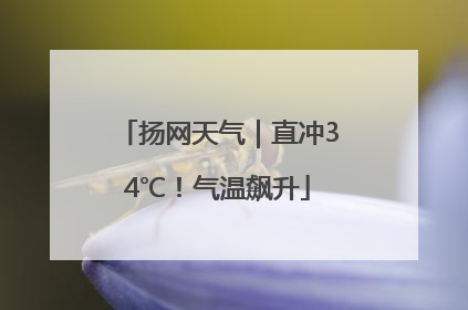 扬网天气｜直冲34℃！气温飙升