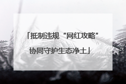 抵制违规“网红攻略” 协同守护生态净土